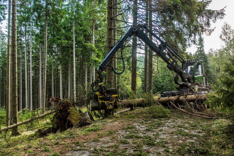 Odklízení následků vichru a deště Krnap - klikněte pro zobrazení detailu