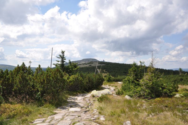 Krkonoše - cesta od Dívčích kamenů - klikněte pro zobrazení detailu