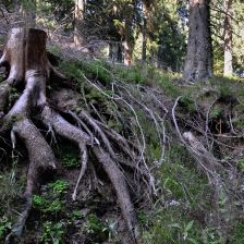 Krkonoše - Zelený důl