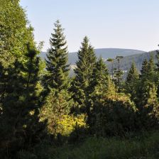 Krkonoše - cestou do Zeleného dolu