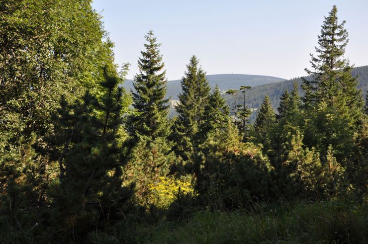 zobrazit detail snímku: Krkonoše - cestou do Zeleného dolu