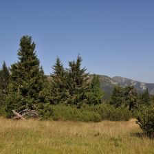 Krkonoše - Cesta mezi bufetem Na rozcestí a Výrovkou