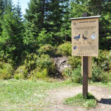 Krkonoše - Tetřívčí hravá naučná stezka