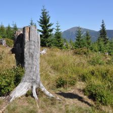 Krkonoše - výhled z Hnědého vrchu
