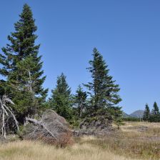 Krkonoše - výhled nad bufetem Na rozcestí