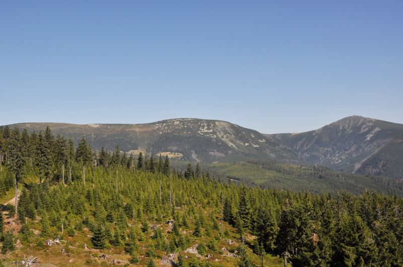 Krkonoše - Pohled na Studniční horu a Sněžku z Hnědého vrchu. - klikněte pro zobrazení detailu Krkonoše - Pohled na Studniční horu a Sněžku z Hnědého vrchu. - klikněte pro zobrazení detailu