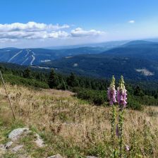 Krkonoše - pohled z cesty na Mísečky