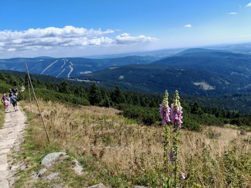 Krkonoše - pohled z cesty na Mísečky - klikněte pro zobrazení detailu