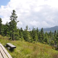 Krkonoše - Stezka za zvířátky u Moravské boudy - klikněte pro zobrazení detailu