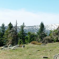 Krkonoše - Pohled od Petrovky