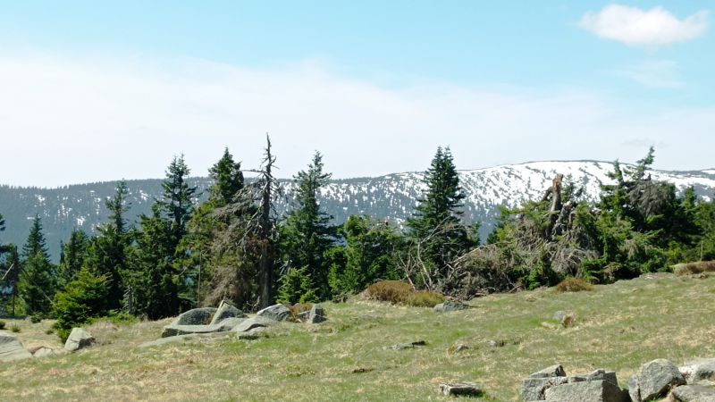 Krkonoše - Pohled od Petrovky - klikněte pro zobrazení detailu