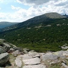 Krkonoše - Nad Černým sedlem