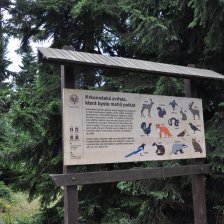 Krkonoše - Stezka za zvířátky u Moravské boudy - tabule