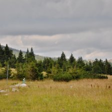 Krkonoše - Výhled u Špindlerovy boudy