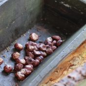 Udělejme z krmení zvěře vánoční zvyk, který opravdu pomůže