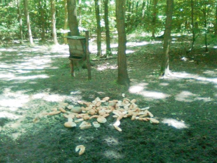 zobrazit detail snímku: Takto tedy ne