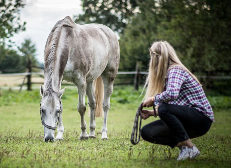 zobrazit detail snímku: Kůň a žena.