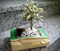 Zábavná recyklace - staré knihy: Knihy po stovky let přinášejí lidem vzdělání…