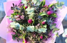 První poslové jara 2026: Jaké květiny rozzáří váš domov a co vybrat k nedělnímu MDŽ?