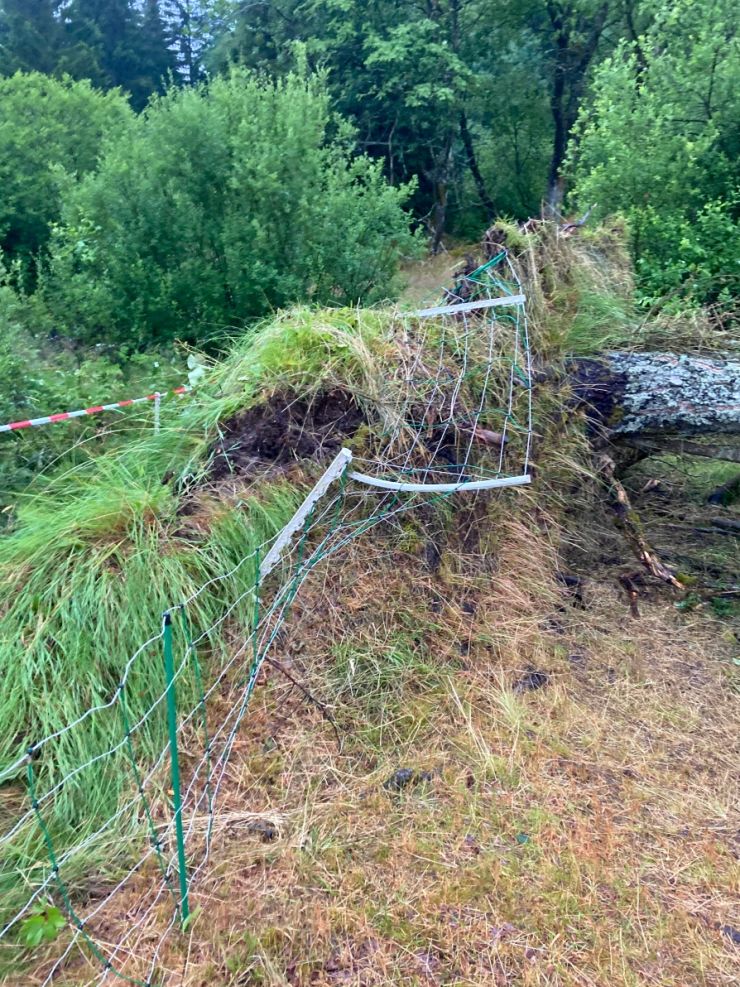 zobrazit detail snímku: Díra v ohradě