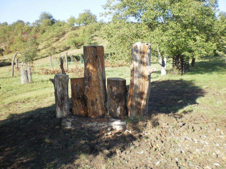 zobrazit detail snímku: Logger 2