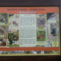 Logger 3  - klikněte pro zobrazení detailu