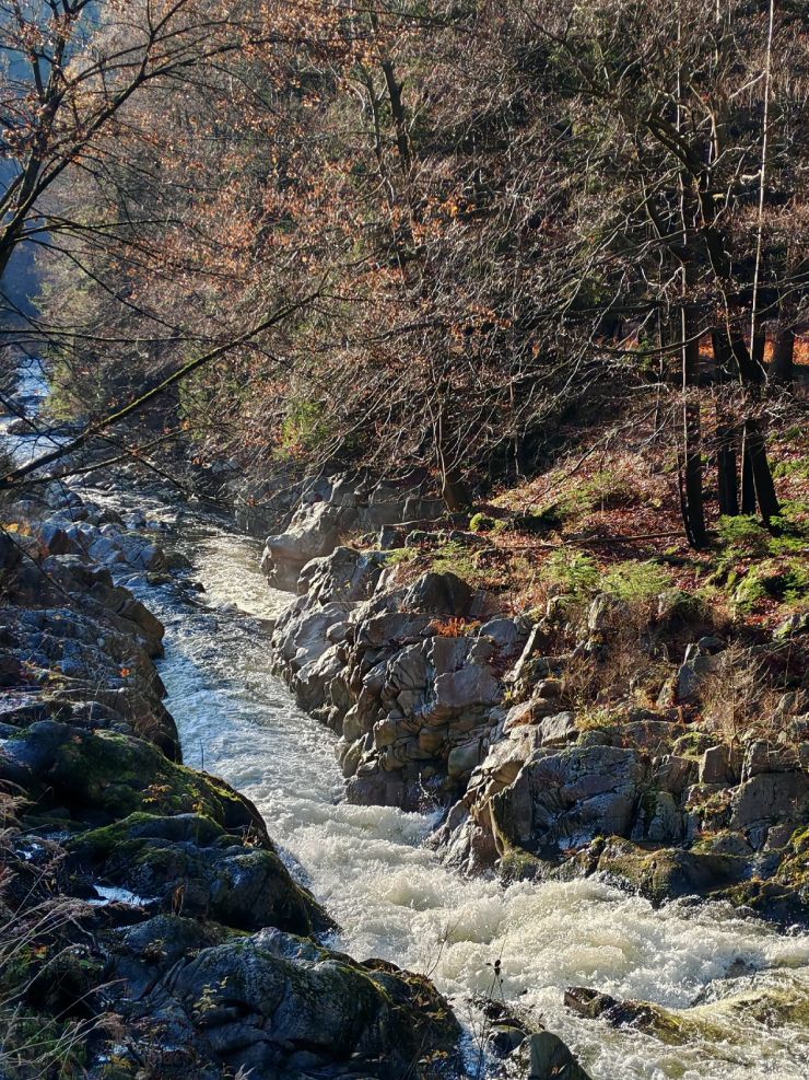 zobrazit detail snímku: Labe kousek pod Labskou přehradou ve Špindlerově mlýně