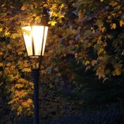 Když se instinkty nočního hmyzu srazí s LED žárovkou