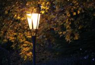 Když se instinkty nočního hmyzu srazí s LED světlem: Dlouhé miliony let se život na Zemi v našich…