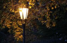 Když se instinkty nočního hmyzu srazí s LED žárovkou