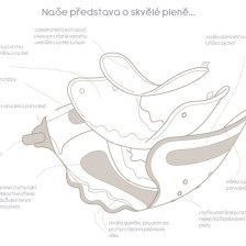 SIO plenka - nákres
