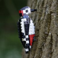 LEGO birds - klikněte pro zobrazení detailu
