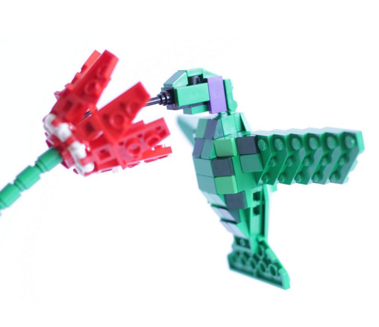 zobrazit detail snímku: LEGO birds