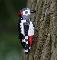 Konečně stavebnice pro milovníky přírody - LEGO Bird: LEGO je stavebnice o které je známo, že se z ní…