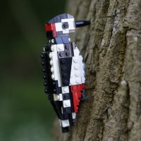 LEGO birds - klikněte pro zobrazení detailu