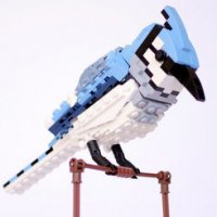 LEGO birds - klikněte pro zobrazení detailu