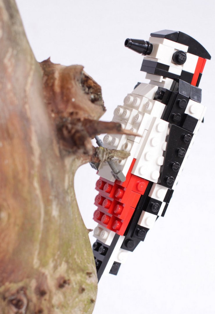 zobrazit detail snímku: LEGO birds