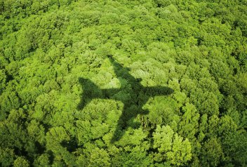 Letadlo nad hustým lesem - klikněte pro zobrazení detailu