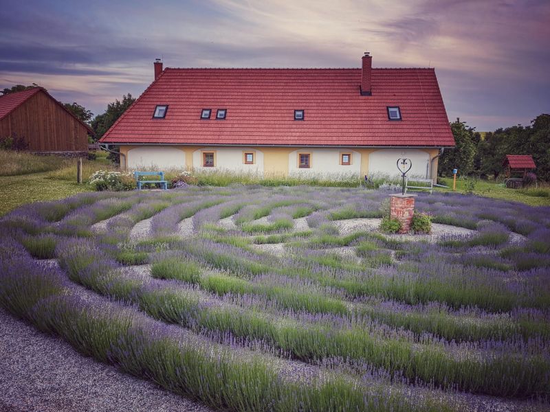 Levandulový labyrint - klikněte pro zobrazení detailu