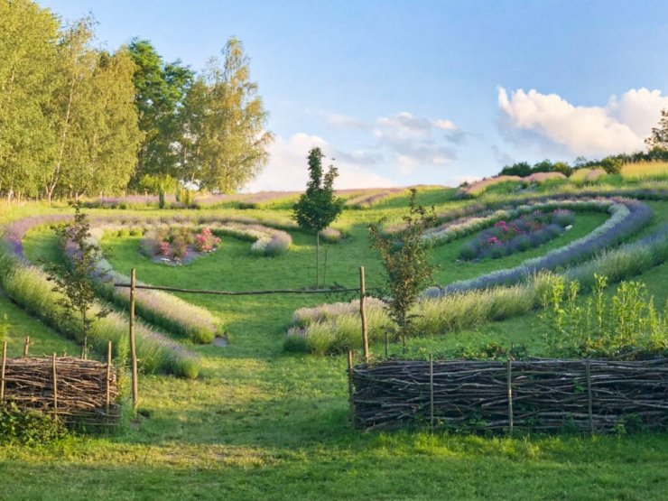 zobrazit detail snímku: Levandulová farma Petržílka