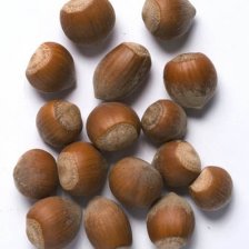 Lískový ořech
