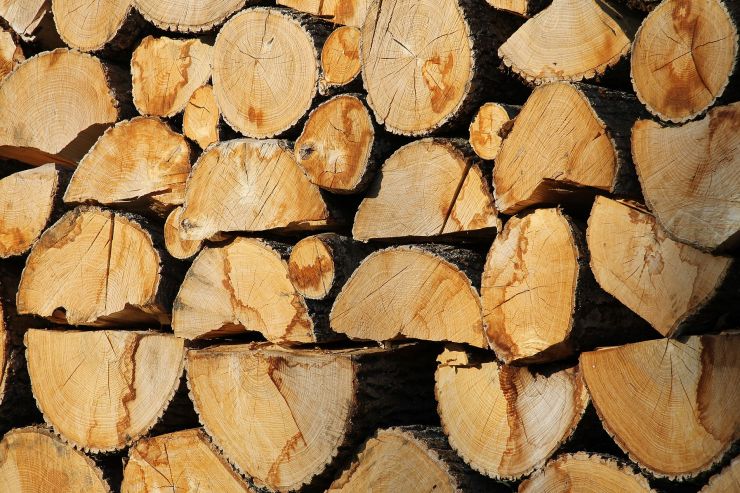 zobrazit detail snímku: Dřevo