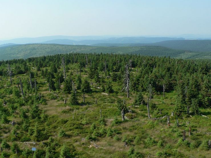 zobrazit detail snímku: Jizerské hory v roce 2006
