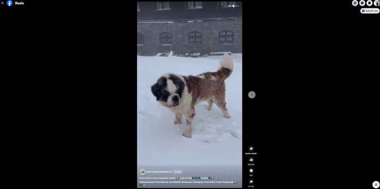zobrazit detail snímku: Sníh na Luční boudě