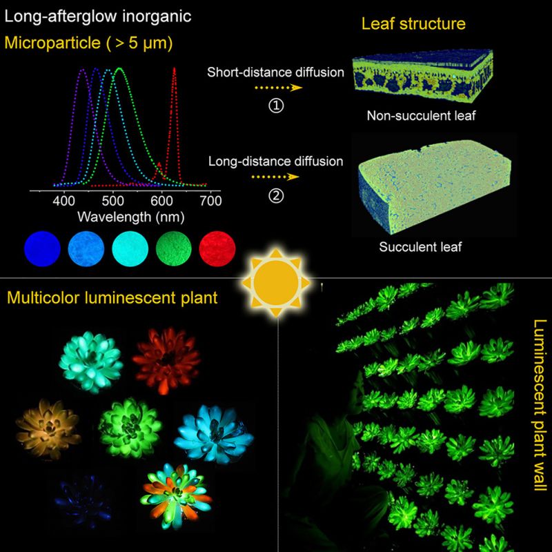 Základní grafika k projektu - klikněte pro zobrazení detailu