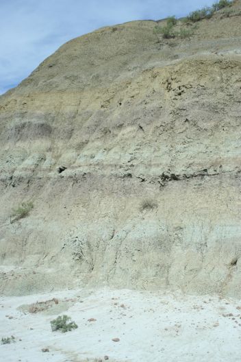 sedimentární horniny svrchnokřídového souvrství Hell Creek (Montana, USA) - klikněte pro zobrazení detailu