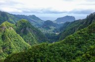Madeira: procházky lemované levádami, vodopády i tropickou květenou: Malý ostrůvek v Atlantiku o rozloze 55 km na...