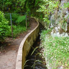 Levada do Furado