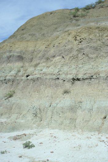 sedimentární horniny svrchnokřídového souvrství Hell Creek (Montana, USA) - klikněte pro zobrazení detailu