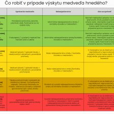 Tabulka jak se zachovat při setkání s medvědem